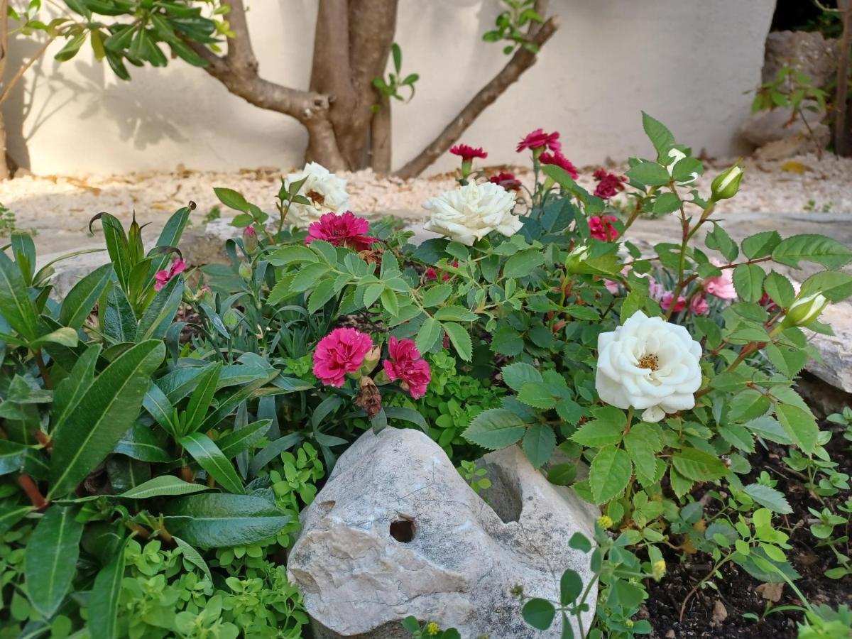 Apartmani Milena Barbat na Rabu Bagian luar foto