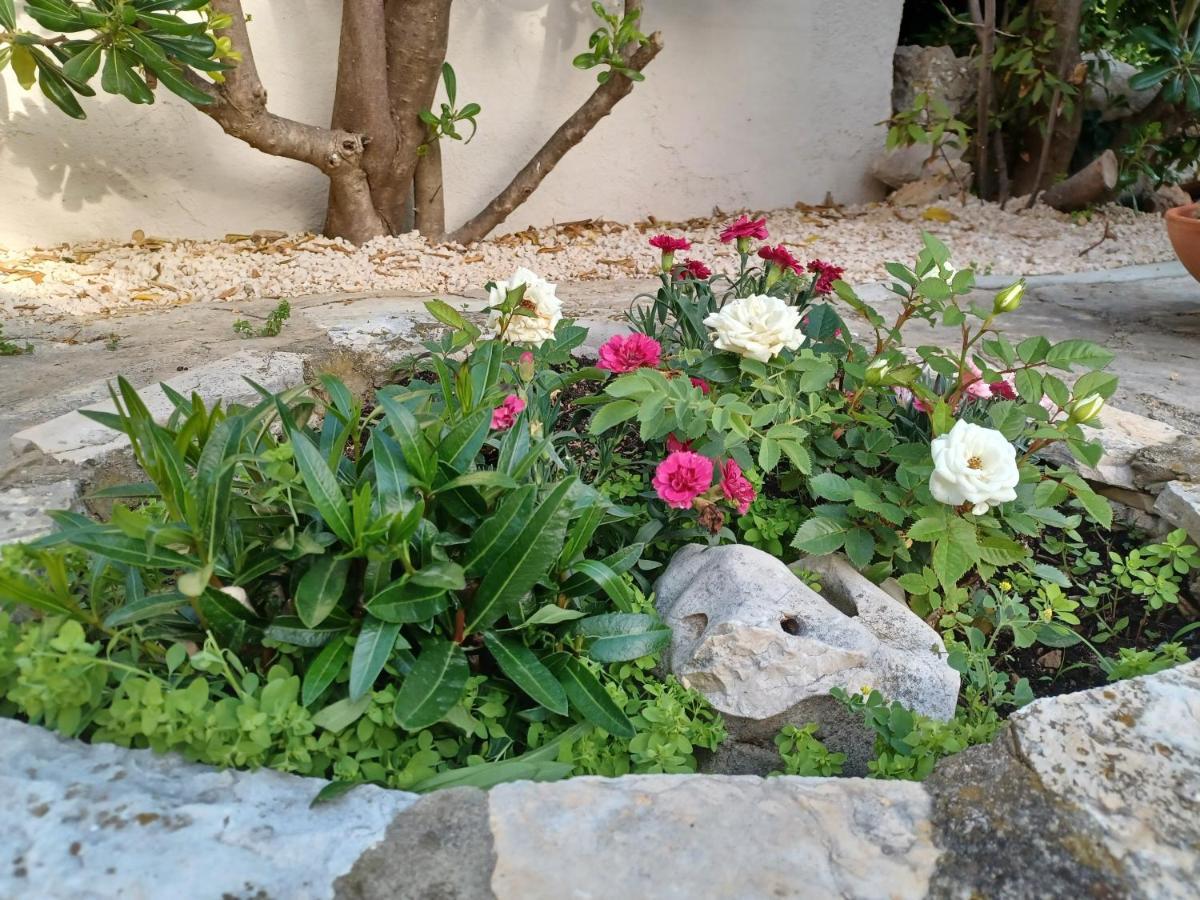 Apartmani Milena Barbat na Rabu Bagian luar foto